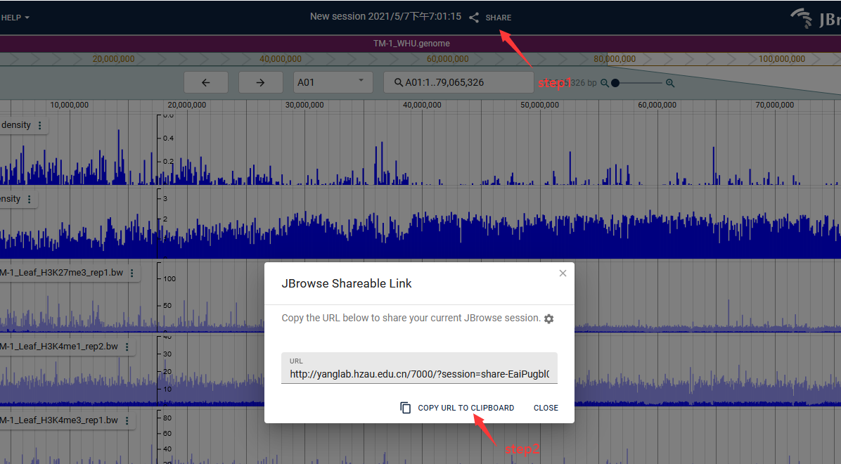 jbrowse2分享